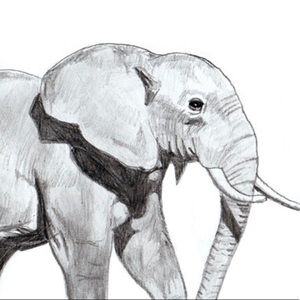 Meet your Posher, Manuela